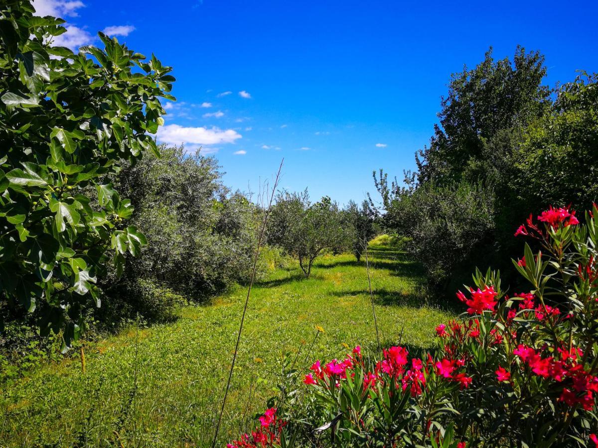 Вілла Ecohouse Oliveglia Шіло Екстер'єр фото