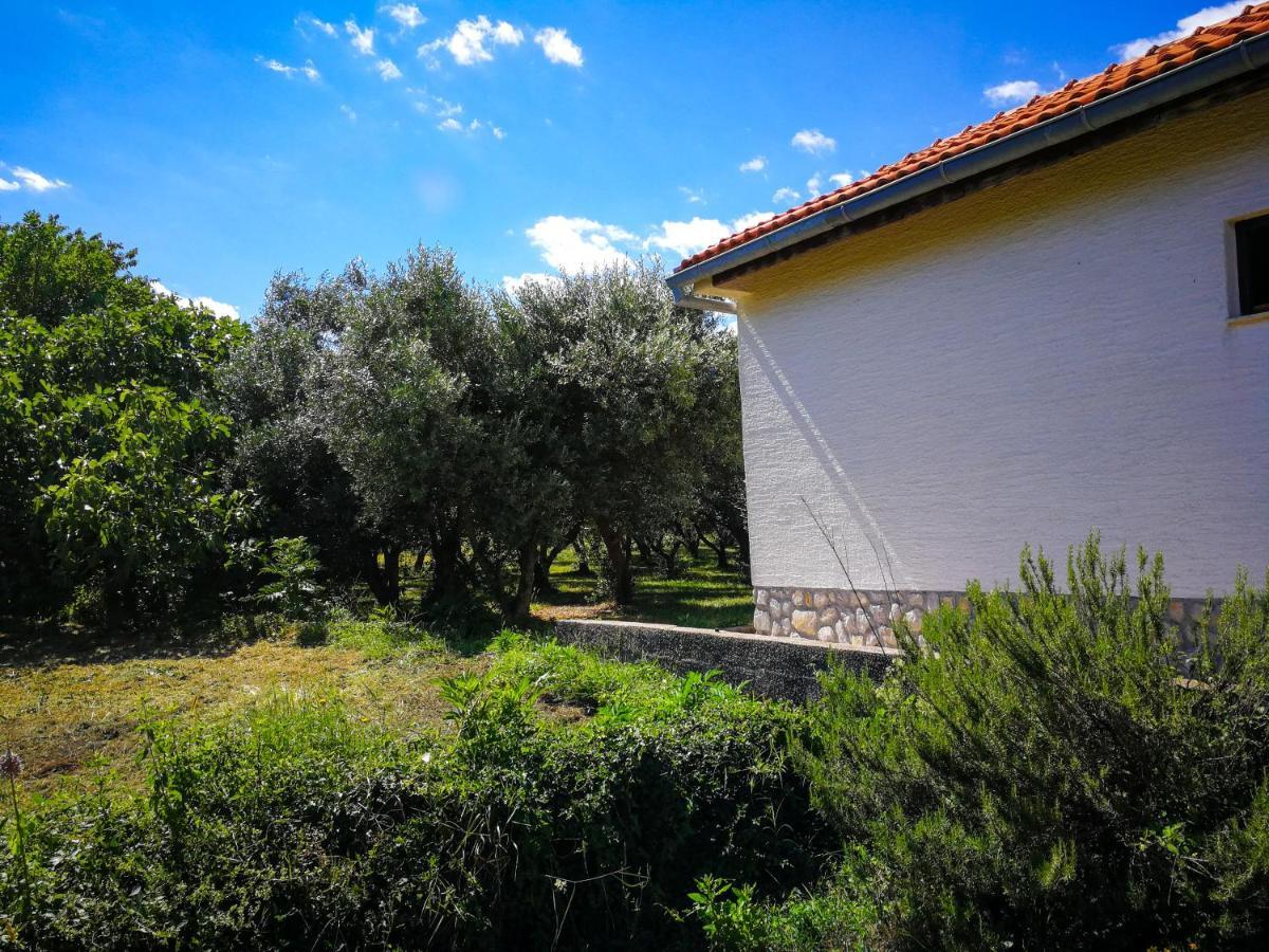 Вілла Ecohouse Oliveglia Шіло Екстер'єр фото